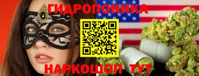 крисы Конаково