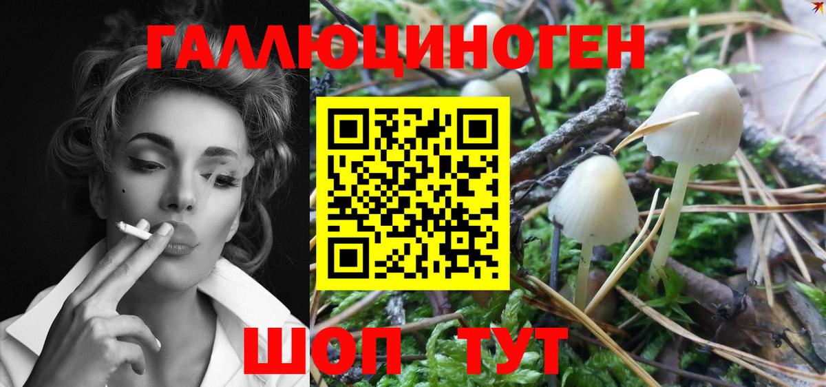 Псилоцибиновые грибы Psilocybe  Вход с VPN  Галлюциногенные грибы GOLDEN TEACHER  Кемерово 